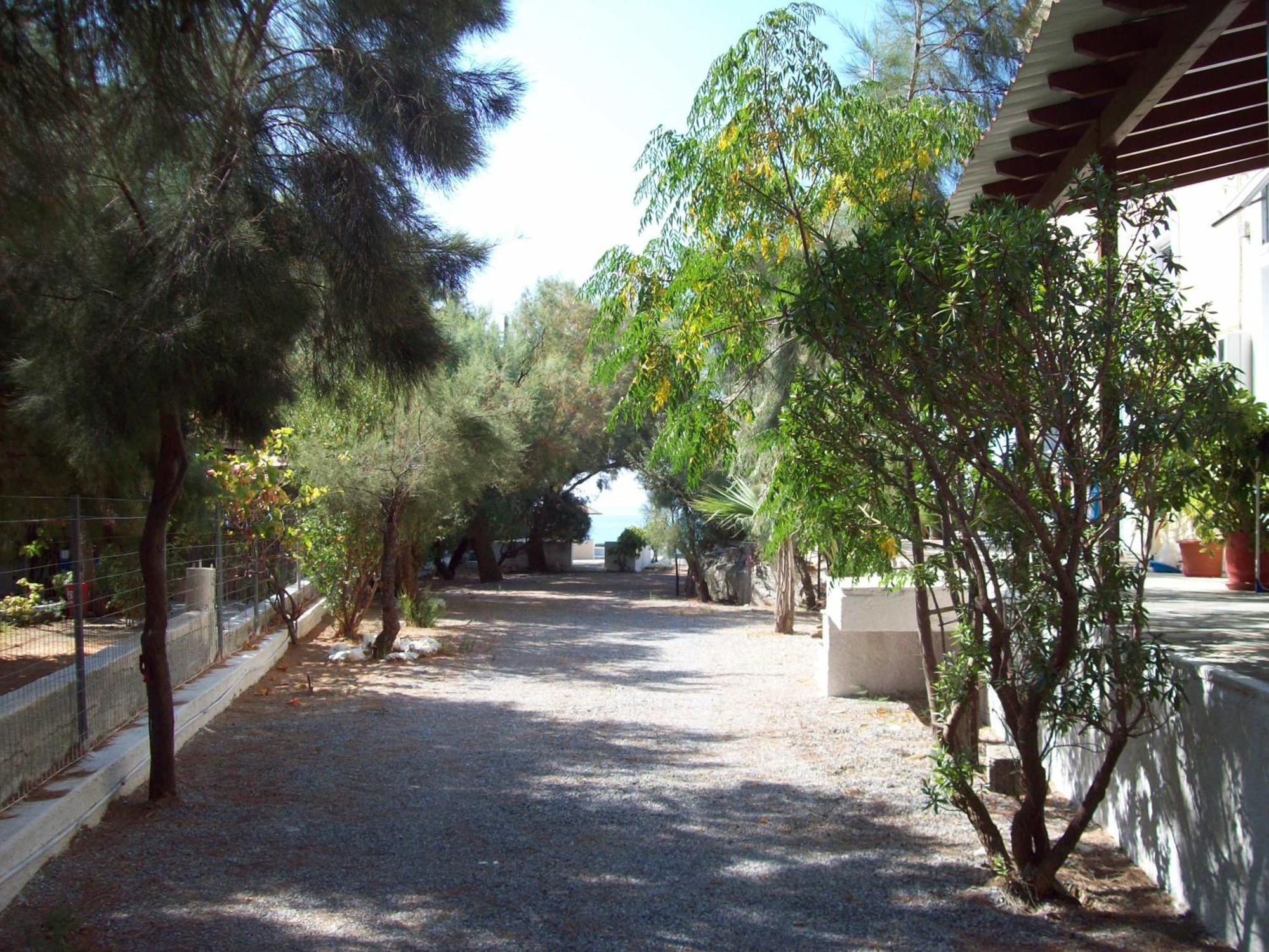Oasis Studios Psili Ammos  Exterior photo